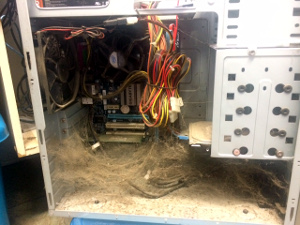 Dusty computer innards