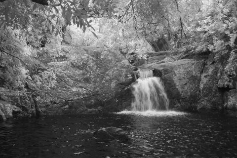 A waterfall north of Townsville, photographed in IR