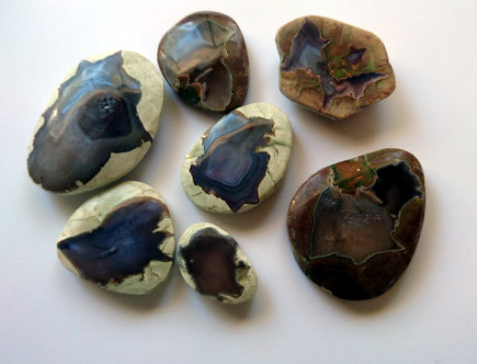 Collection of cut and cabochoned thunder eggs